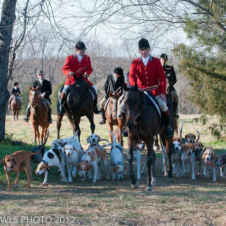 Deep Run Hunt Club riders and hounds gathered on a winter trail
